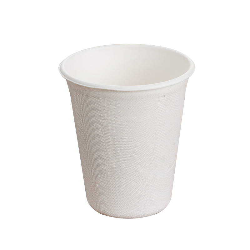 Bagasse Cups for Catering Events