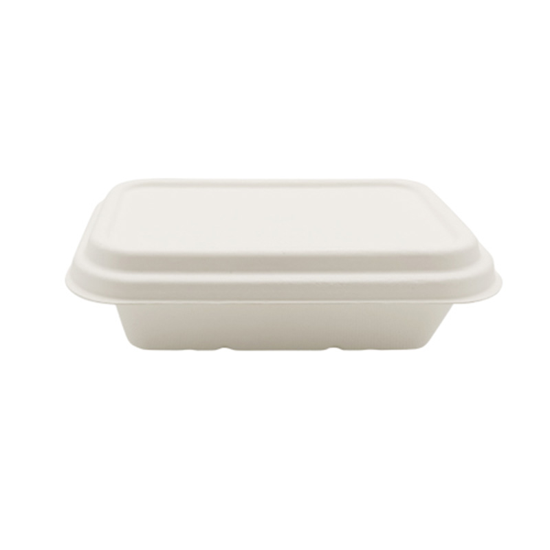 Bagasse Takeaway Containers