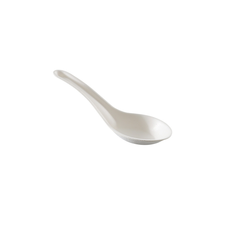 Sugarcane Bagasse Cutlery