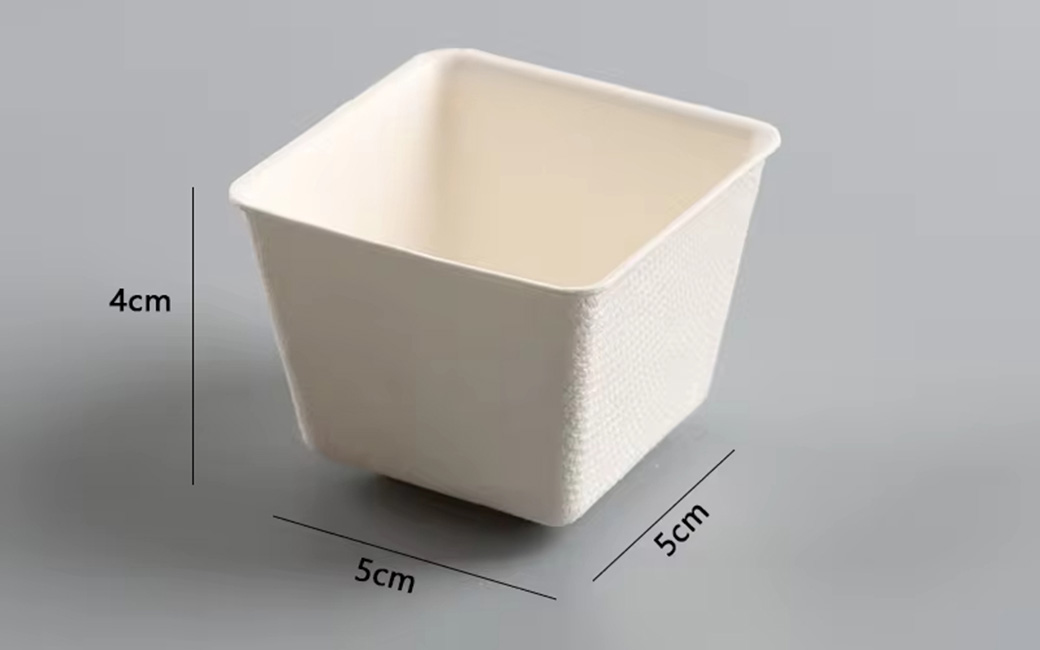 Sugarcane Bagasse Miniware