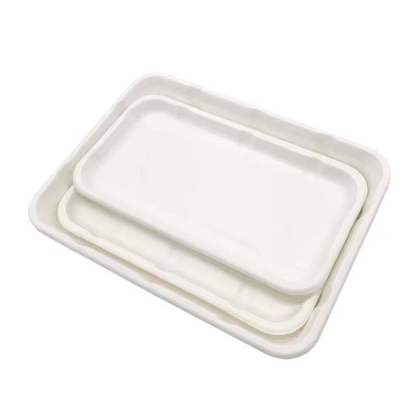 Sugarcane Pulp Rectangular Food Tray