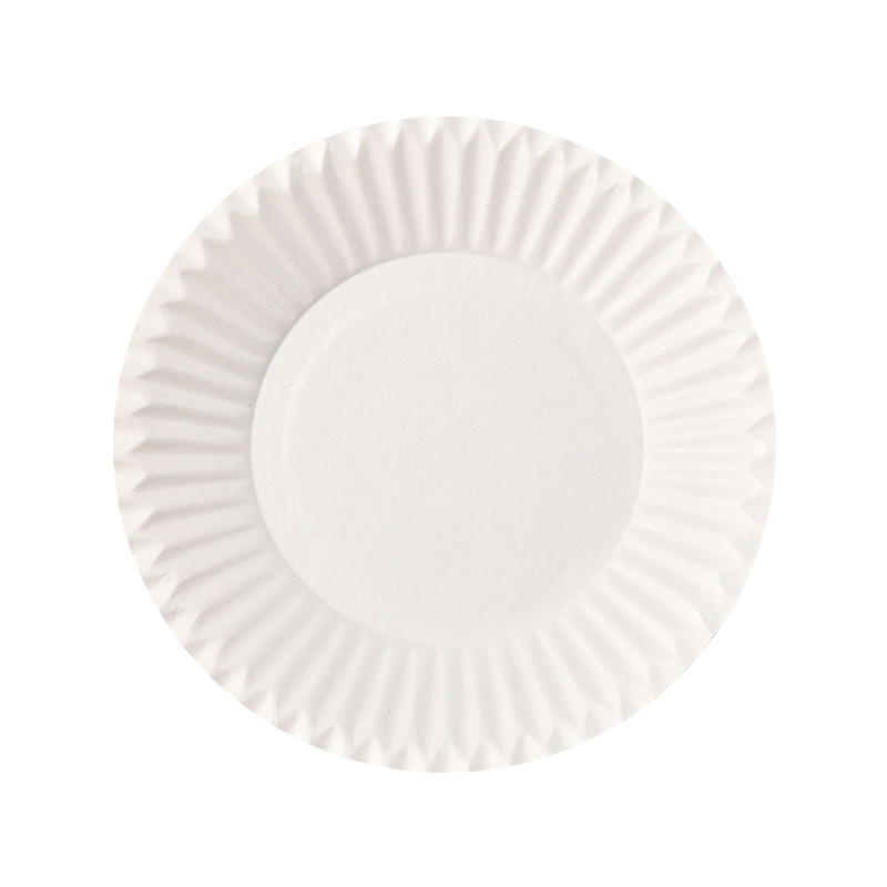 White Paper Round Dinnerware Plate