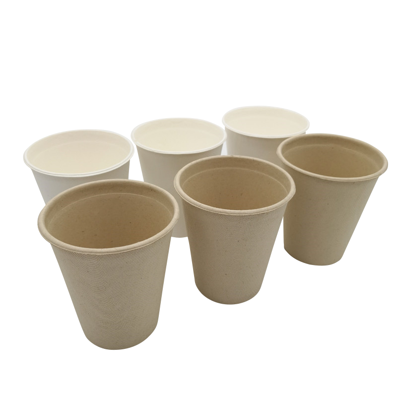 Disposable Sugarcane Bagasse Cup