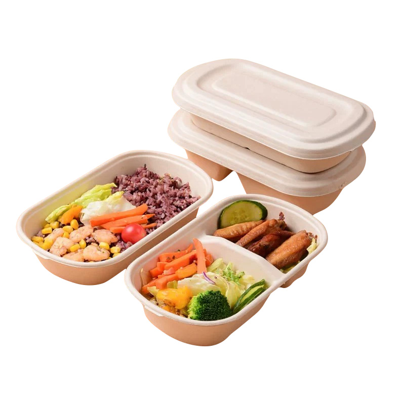 Bagasse Salad Box