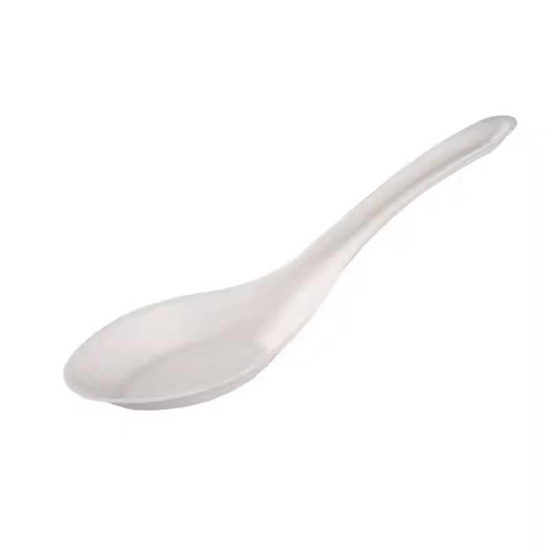 Sugarcane Fiber Spoon