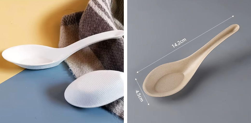 Sugarcane Spoon