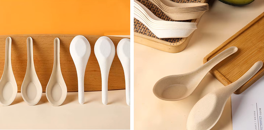 Biodegradable Soup Spoon
